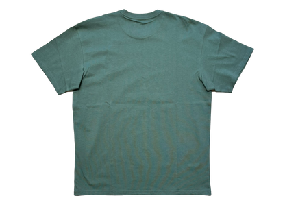 Carhartt T-shirt Green COND NEW